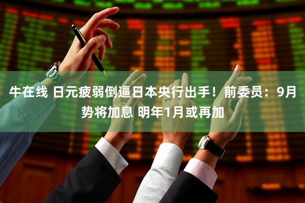 牛在线 日元疲弱倒逼日本央行出手！前委员：9月势将加息 明年1月或再加